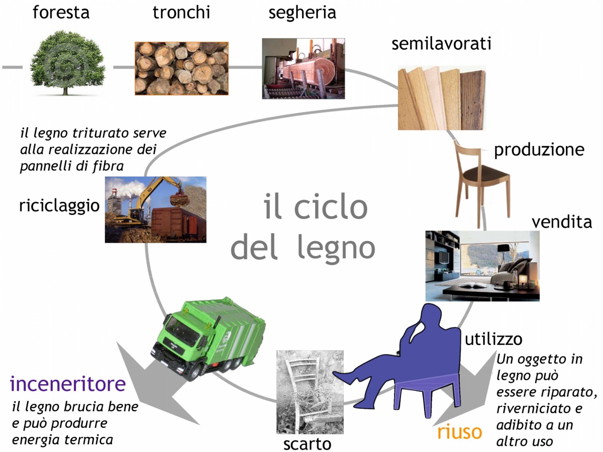 Ciclo del legno
